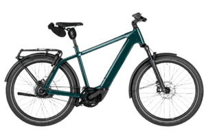 Riese & Müller Charger5 Vario