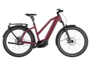 Riese & Müller Charger5 Pinion